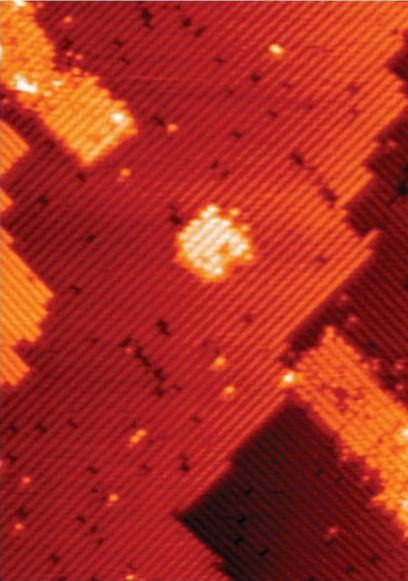 這是量子點設備模板，中間的小孔就是由7個磷原子構成的