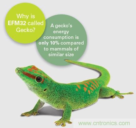 EFM32為什麼叫小壁虎