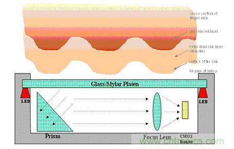 黑客竟能從手指照片複製指紋，指紋識別還安全嗎？
