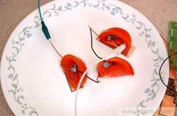 一周以後的水果電池