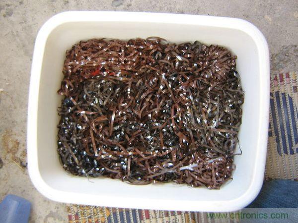 藝術源於生活，用生活中的物件也能製作磁流體