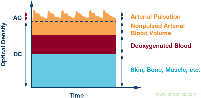 基於MUSIC的算法利用腕上PPG信號提供按需心率估算