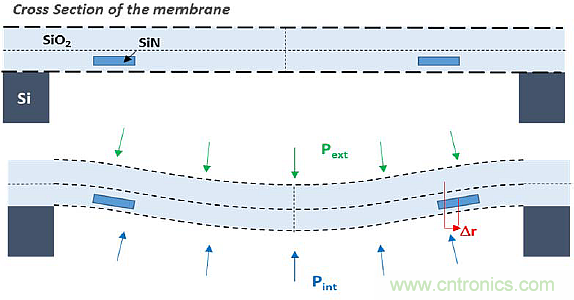 大腦神經探針？我看用MOM壓力傳感器蠻合適