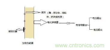 仿生傳感器的定義、原理、分類及應用