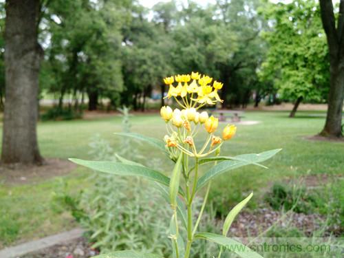 無數的拍攝，隻為成就一個完美回憶