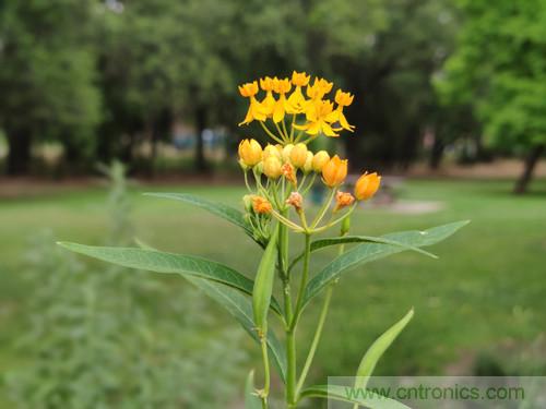 無數的拍攝，隻為成就一個完美回憶