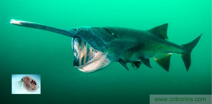 檢測不到信號，是加點噪聲？還是濾除噪聲？