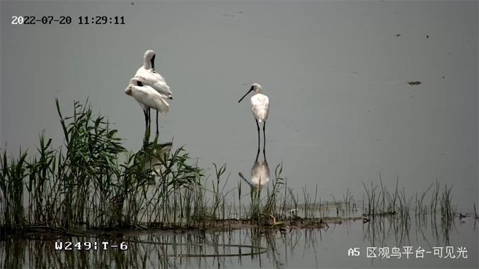 海康威視發布2022年ESG報告：科技為善，助力可持續的美好未來