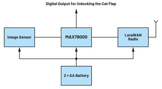 卷積神經網絡的硬件轉換：什麼是機器學習？——第三部分
