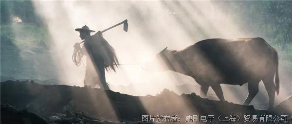 智慧農業大有可為，“數字種地”更輕鬆