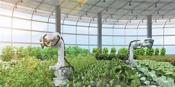 智慧農業大有可為，“數字種地”更輕鬆