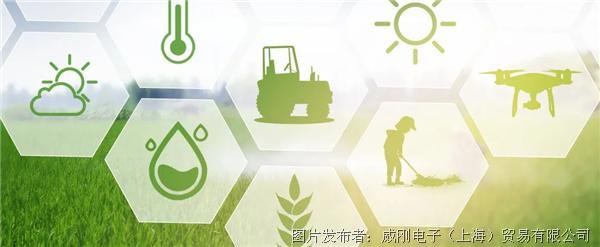 智慧農業大有可為，“數字種地”更輕鬆